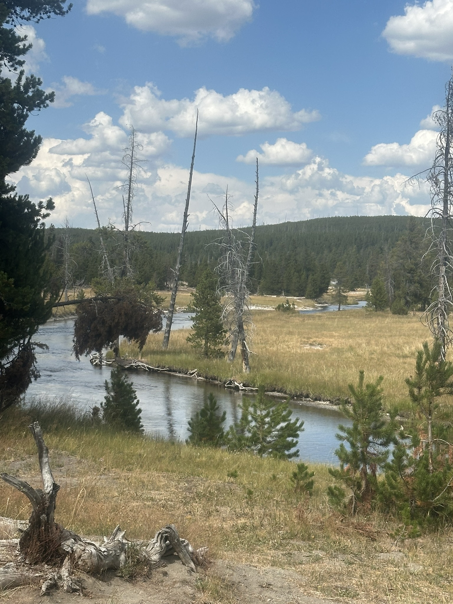 Yellowstone And Grand Teton National Parks - Image 22